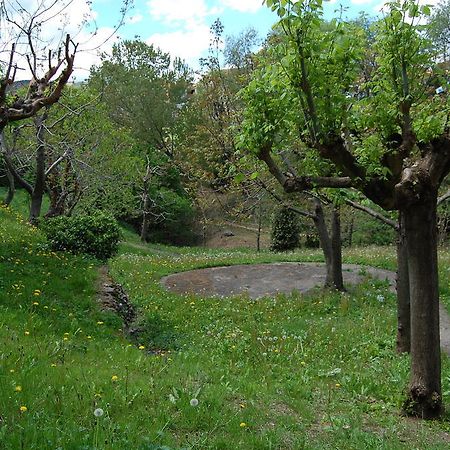Can Salgueda Santa Pau Bilik gambar