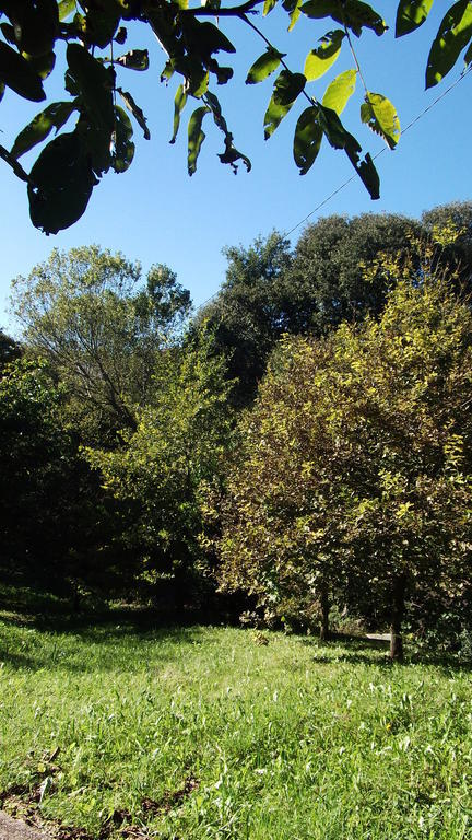 Can Salgueda Santa Pau Bilik gambar