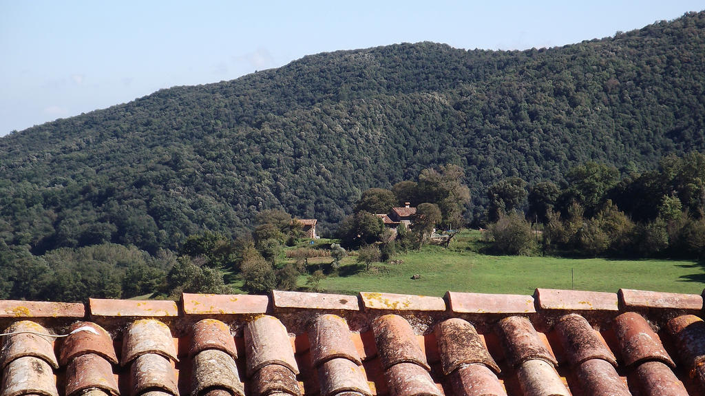Can Salgueda Santa Pau Bilik gambar