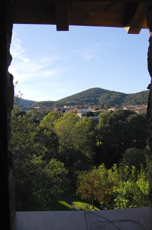 Can Salgueda Santa Pau Bilik gambar