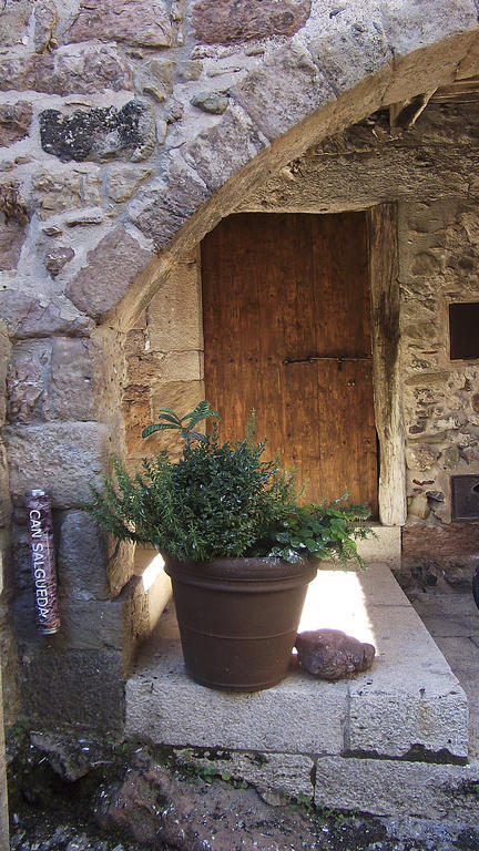 Can Salgueda Santa Pau Bilik gambar