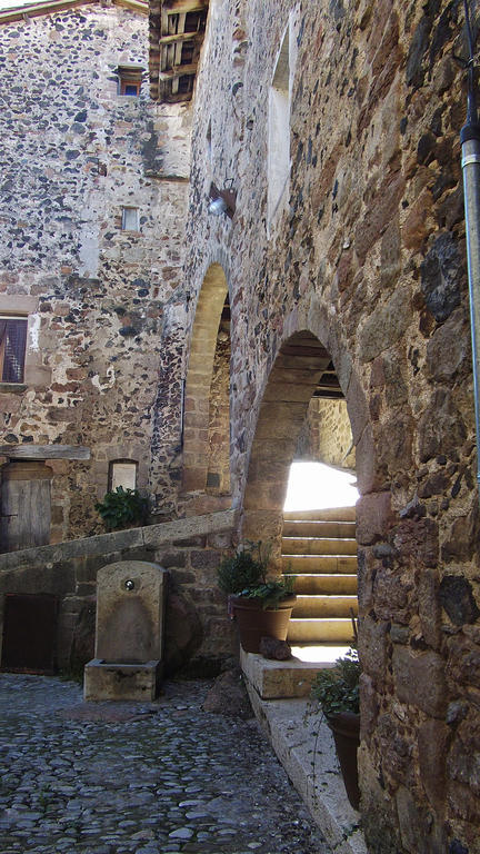 Can Salgueda Santa Pau Bilik gambar