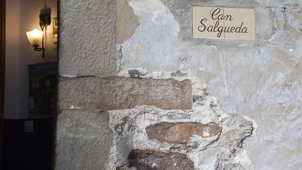 Can Salgueda Santa Pau Bilik gambar